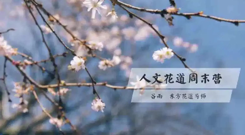 /posts/lession-renwenhuadaomeixueying/featured_image.webp /posts/lession-renwenhuadaomeixueying/featured_image.webp